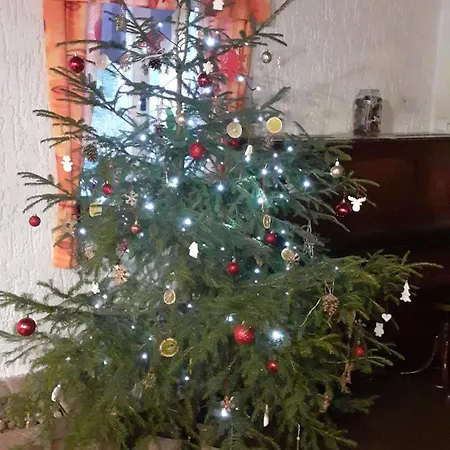 V Záhoří Prázdninový dům *